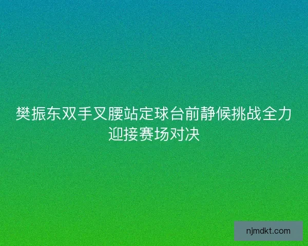 樊振东双手叉腰站定球台前静候挑战全力迎接赛场对决
